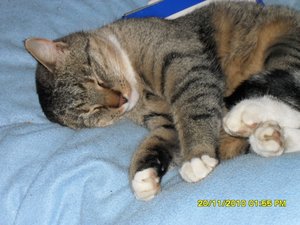 no name 040 [800x600].jpg