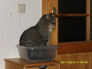 no name 044 [800x600].jpg