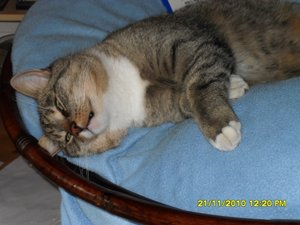 no name 052 [800x600].jpg