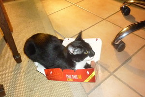 Zu kleine Boxen------gibts nicht^^ 011.jpg