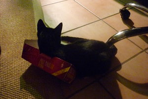 Zu kleine Boxen------gibts nicht^^ 008.jpg