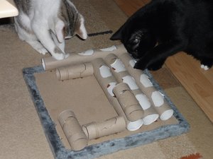 P1040058.jpg P1040058.jpg