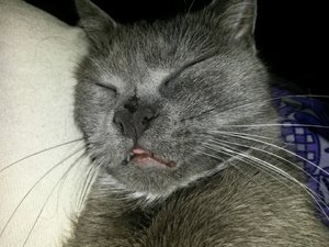 2014-06-20 22.54.07.jpg