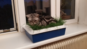 Bildschirmfoto 2014-09-05 um 20.03.33.png