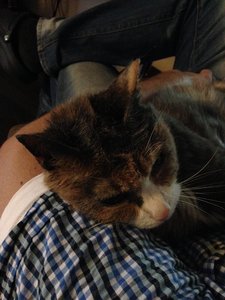 2014-08-31 17.09.52.jpg