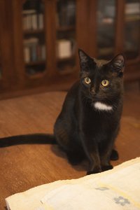 _DSC0052 - Kopie.JPG