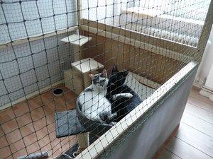 P1060012 - Kopie.JPG