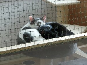 P1050978 - Kopie.JPG