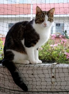 DSC01183 (472x640).jpg