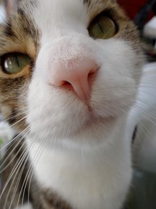 DSC01527 (480x640).jpg