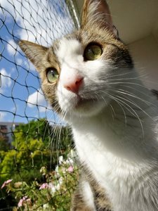 DSC01533 (480x640).jpg