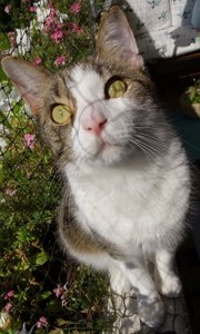 DSC01544 (383x640).jpg