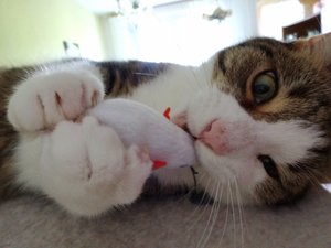 DSC02064 (640x480).jpg