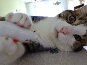 DSC02069 (640x480).jpg