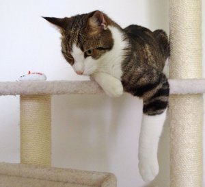 DSC02092 (640x582).jpg