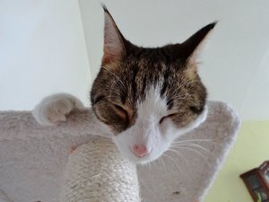 DSC02144 (640x480).jpg