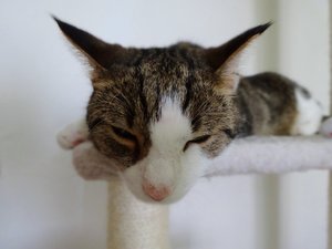 DSC02153 (640x480).jpg