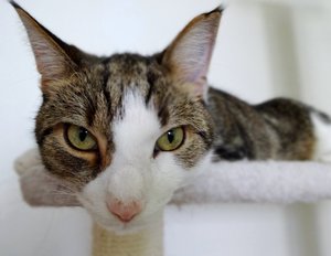 DSC02154 (640x493).jpg