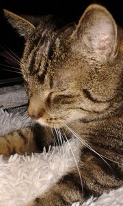 20140827_201329 (384x640).jpg