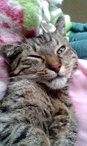 20140831_105327 (384x640).jpg