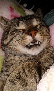 20140831_113055 (382x640).jpg