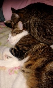 20140831_224611 (384x640).jpg