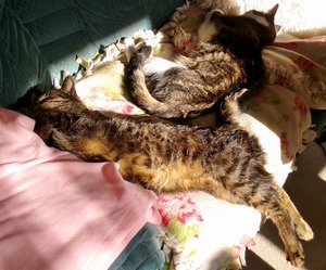 20140901_172634 (640x530).jpg