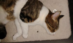 20140902_212521 (640x384).jpg