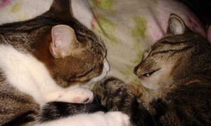 20140910_232820 (640x384).jpg