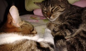 20140910_235038 (640x384).jpg