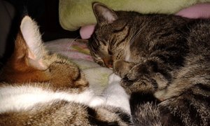 20140910_235041 (640x384).jpg