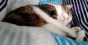 20140911_082837 (640x330).jpg