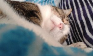 20140911_082916 (640x383).jpg