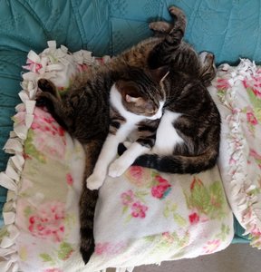 DSC01140 (613x640).jpg