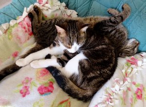 DSC01141 (640x466).jpg