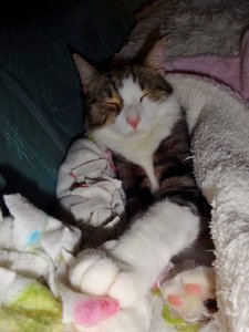 DSC01229 (480x640).jpg