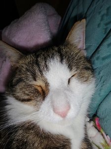 DSC01473 (480x640).jpg