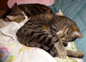 DSC01474 (640x457).jpg