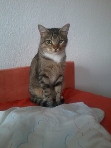 2014-09-14 08.13.30.jpg