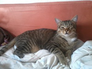 2014-09-15 11.07.04.jpg