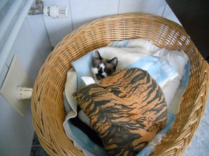 OktoberNovember201 003.jpg