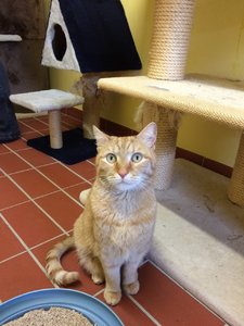 2014-09-19 17.13.57.jpg