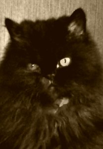 2014-09-02 20.10.23.jpg