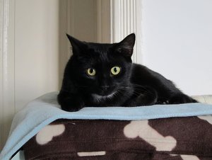 IMG_2473 - Kopie.JPG