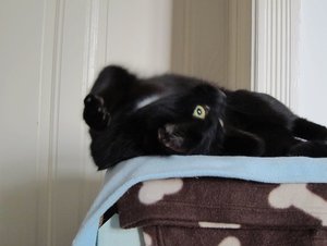 IMG_2476 - Kopie.JPG