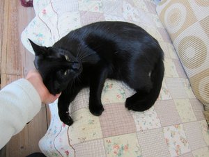 IMG_2504 - Kopie.JPG