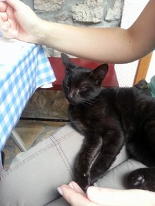 Größenänderung Mausi auf Patentante.jpg