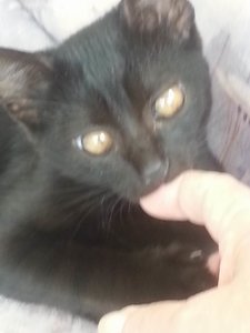 Größenänderung nuckeln.jpg