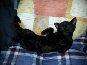 Größenänderung Schlaf der Gerechten 1.jpg