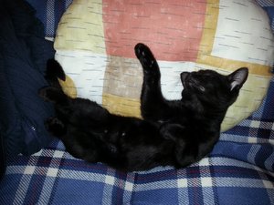 Größenänderung Schlaf der Gerechten 2.jpg